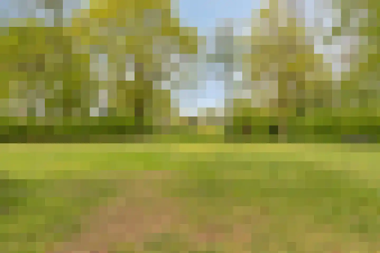 de Wieken 3 Bergeijk thumbnail 30