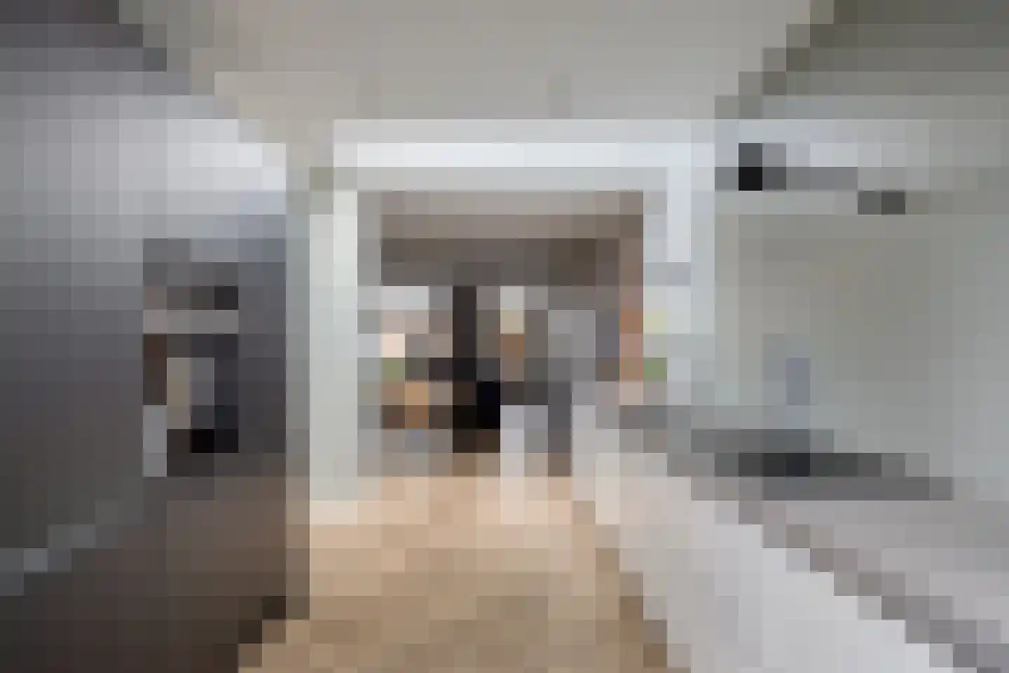 de Wieken 3 Bergeijk thumbnail 4