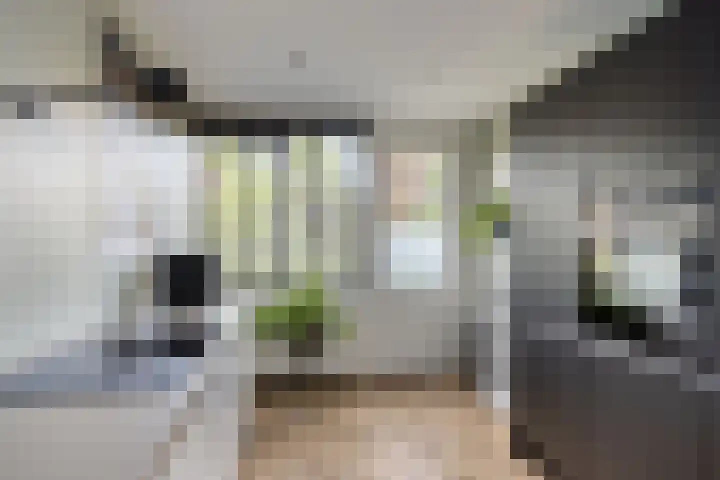 de Wieken 3 Bergeijk thumbnail 5