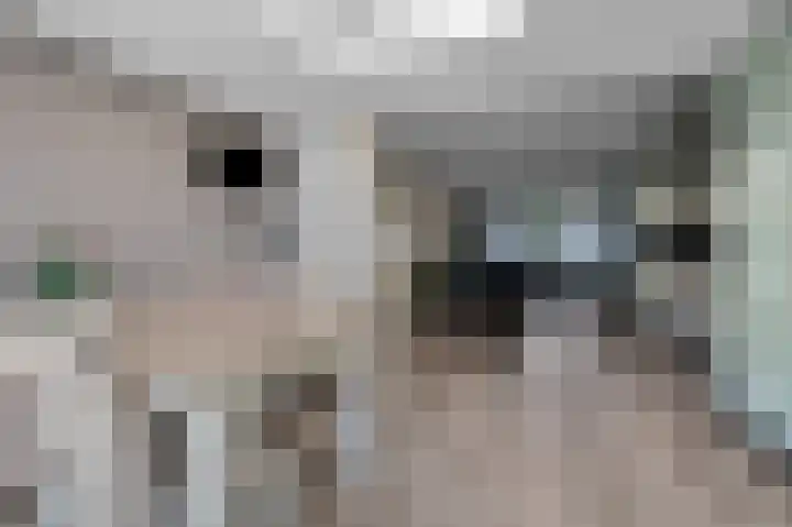 De Wieken 30 Klazienaveen thumbnail 16