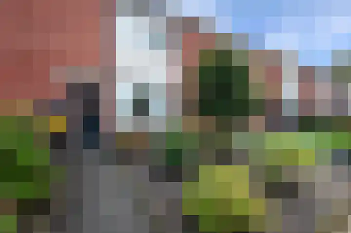 De Wieken 30 Klazienaveen thumbnail 33