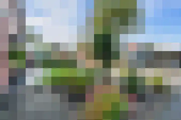 De Wieken 30 Klazienaveen thumbnail 34
