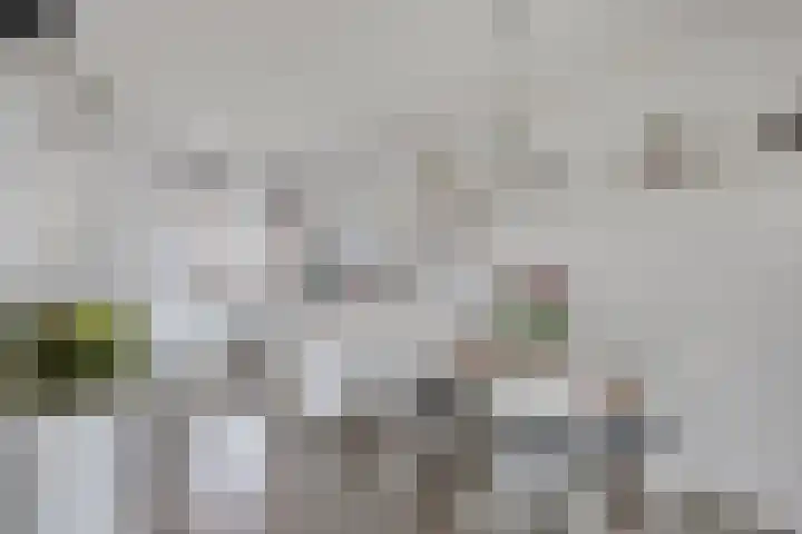 de Wieken 33 Helmond thumbnail 16