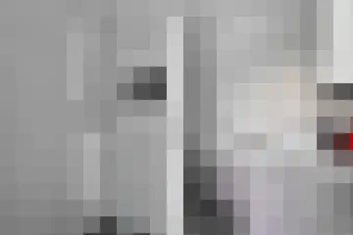 de Wieken 33 Helmond thumbnail 4