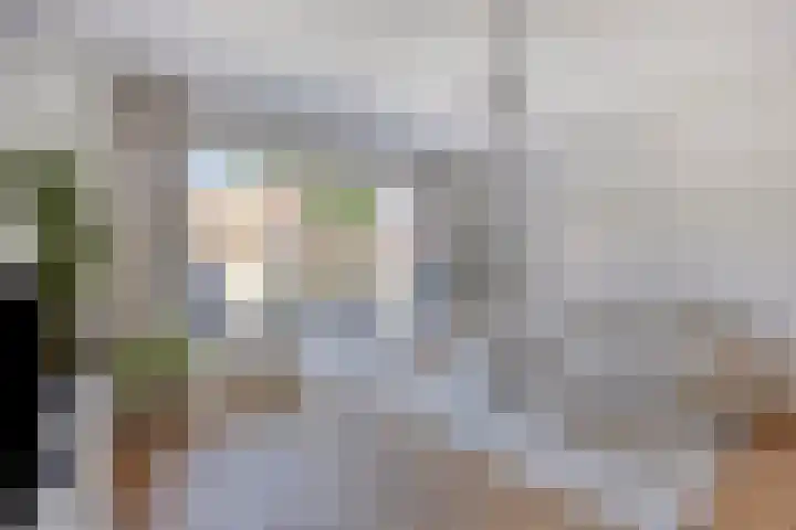 De Wieken 39 Hoorn thumbnail 12