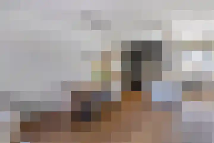 De Wieken 39 Hoorn thumbnail 14