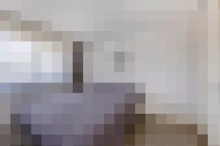 De Wieken 39 Hoorn thumbnail 23