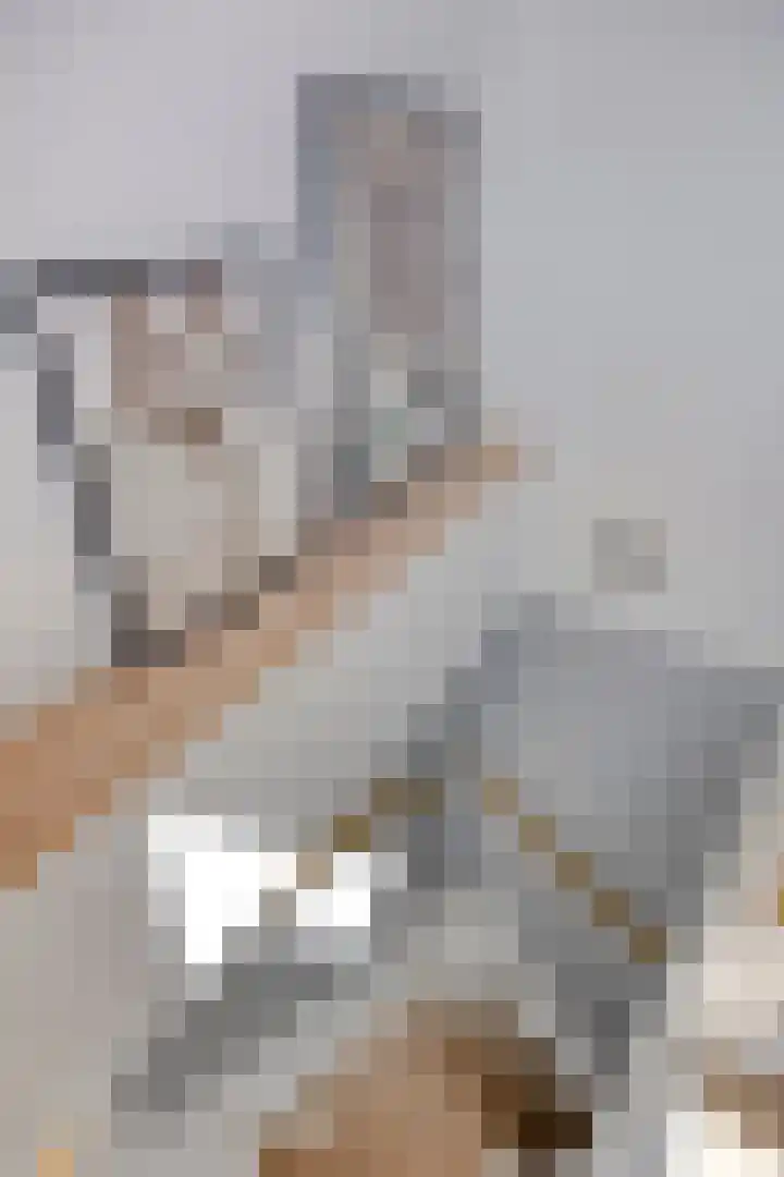 De Wieken 39 Hoorn thumbnail 30