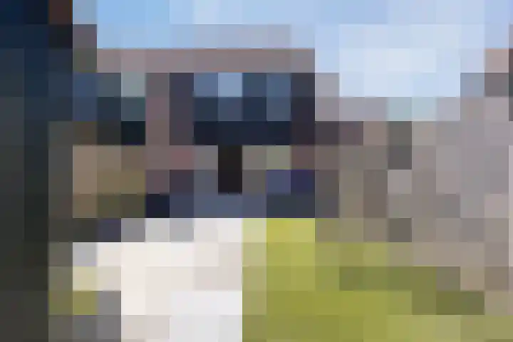 De Wieken 39 Hoorn thumbnail 35