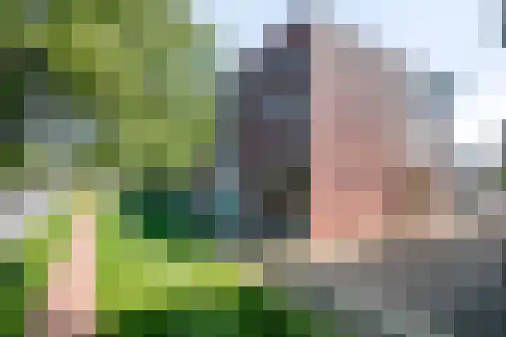 de Wieken 40 Helmond thumbnail 29