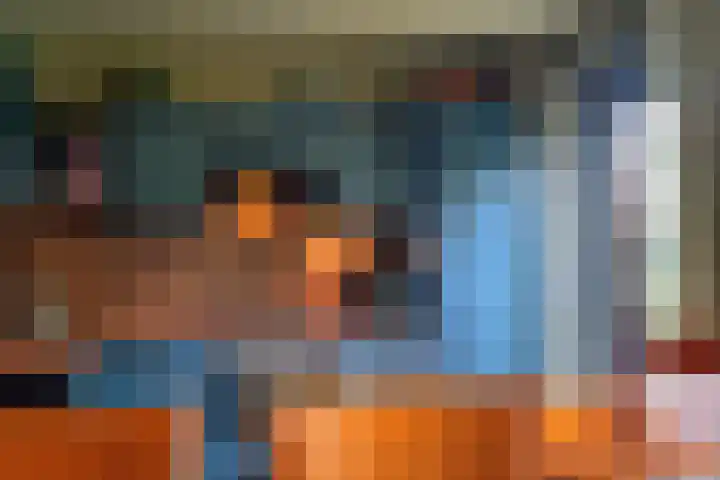 De Wieken 41 Uden thumbnail 11