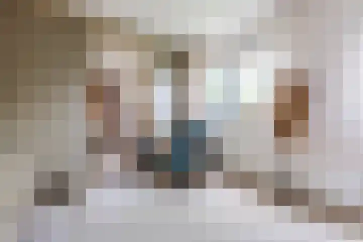 De Wieken 41 Uden thumbnail 15