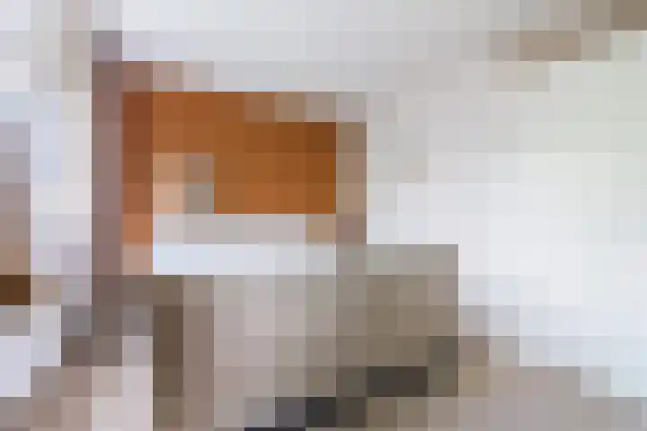 De Wieken 41 Uden thumbnail 16