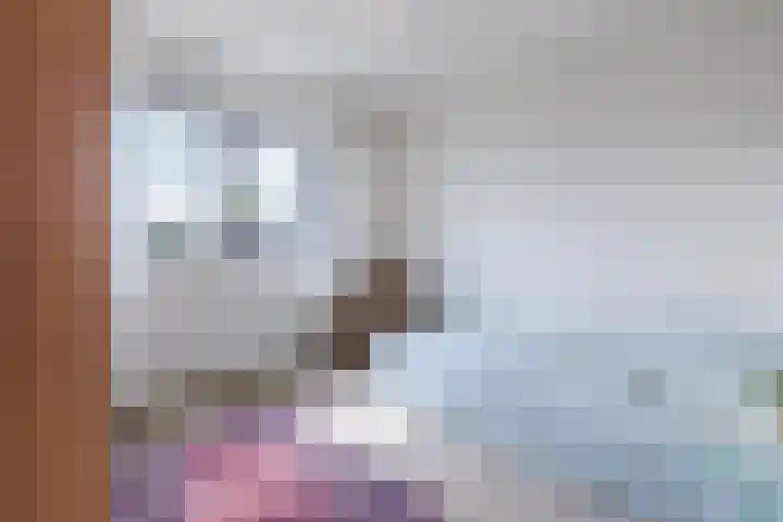De Wieken 41 Uden thumbnail 17