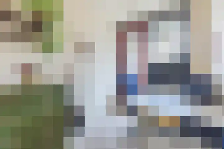 De Wieken 41 Uden thumbnail 19
