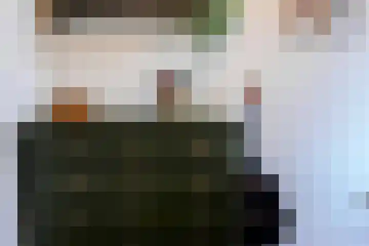 De Wieken 41 Uden thumbnail 21