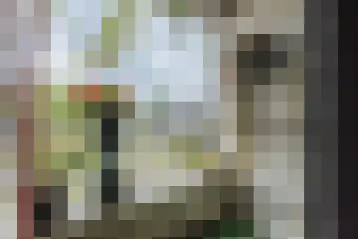 De Wieken 41 Uden thumbnail 23