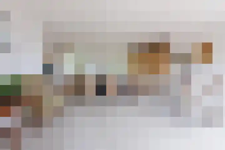 De Wieken 41 Uden thumbnail 27