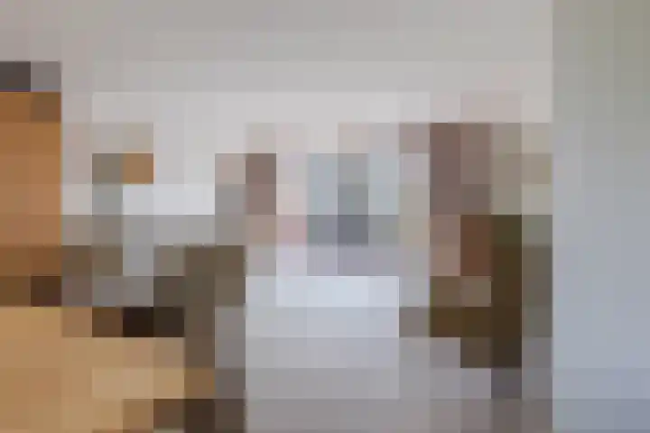 De Wieken 41 Uden thumbnail 28