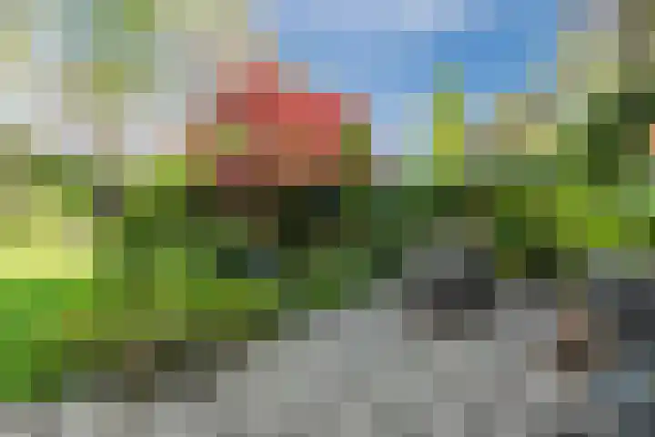 De Wieken 41 Uden foto 3