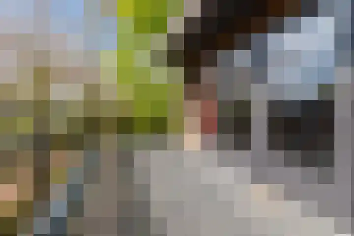De Wieken 41 Uden thumbnail 30