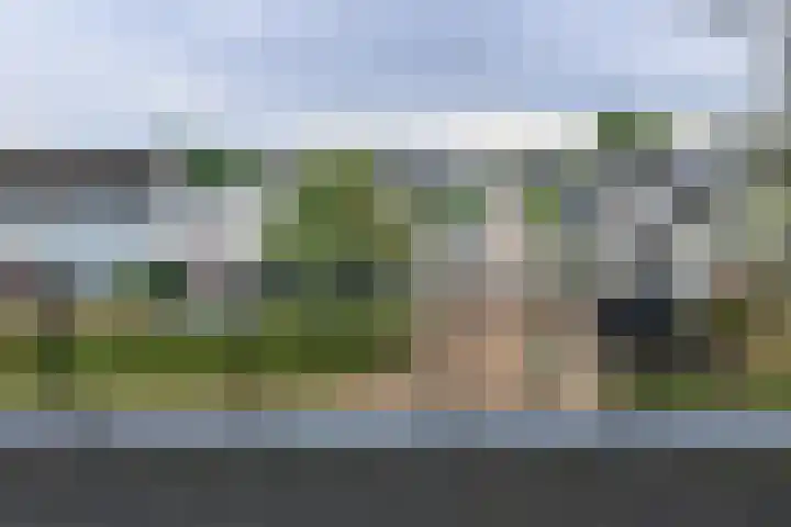 De Wieken 41 Uden thumbnail 31
