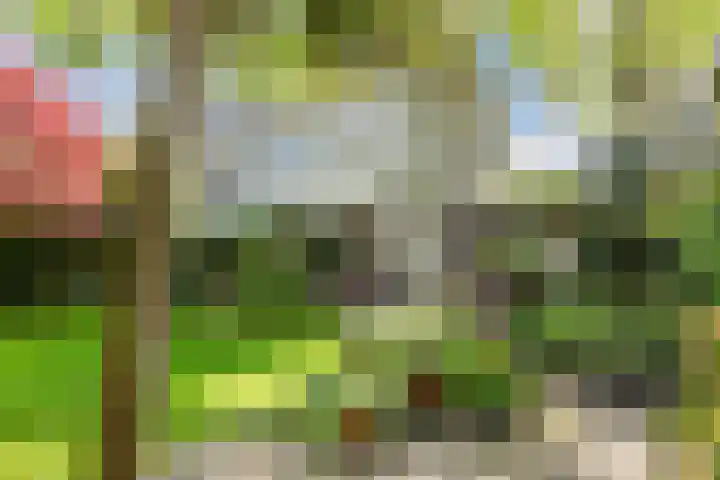 De Wieken 41 Uden thumbnail 33