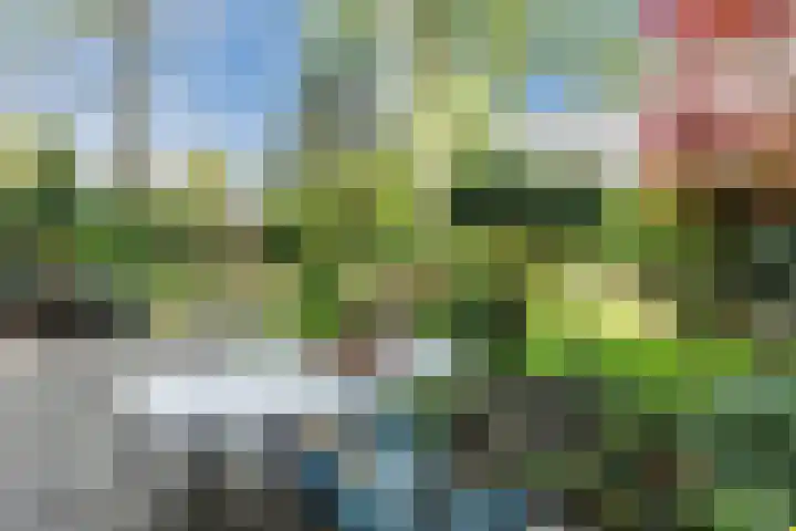 De Wieken 41 Uden thumbnail 35