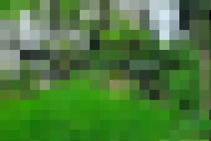 De Wieken 41 Uden thumbnail 36