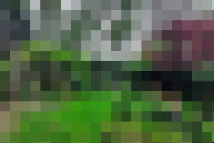 De Wieken 41 Uden thumbnail 37