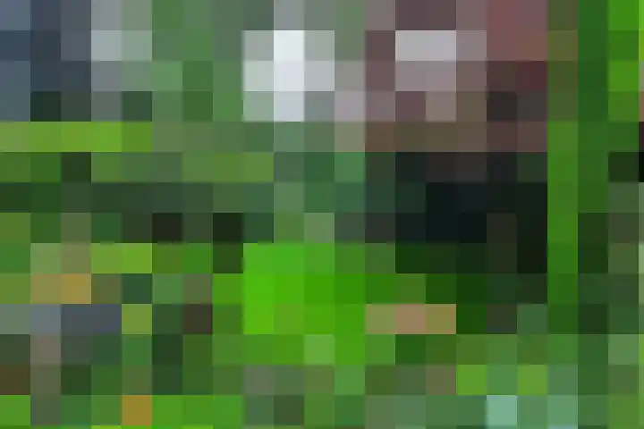 De Wieken 41 Uden thumbnail 38