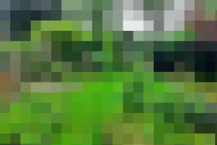 De Wieken 41 Uden thumbnail 39