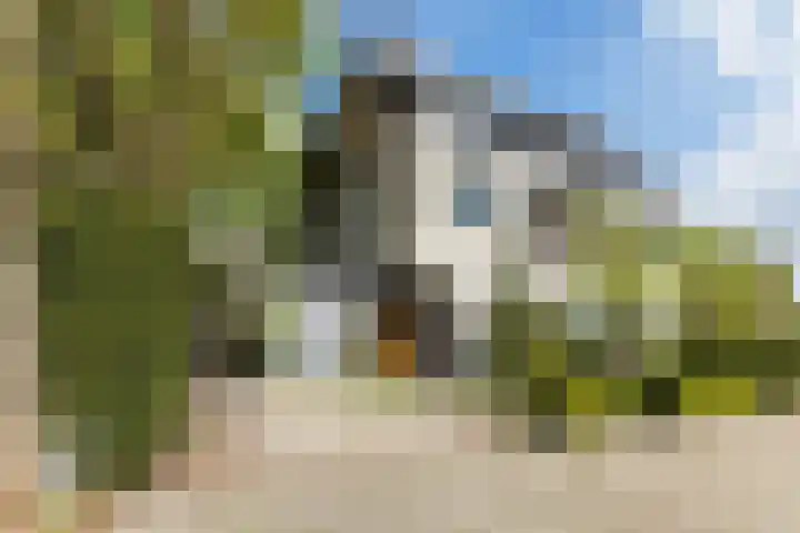 De Wieken 41 Uden thumbnail 4