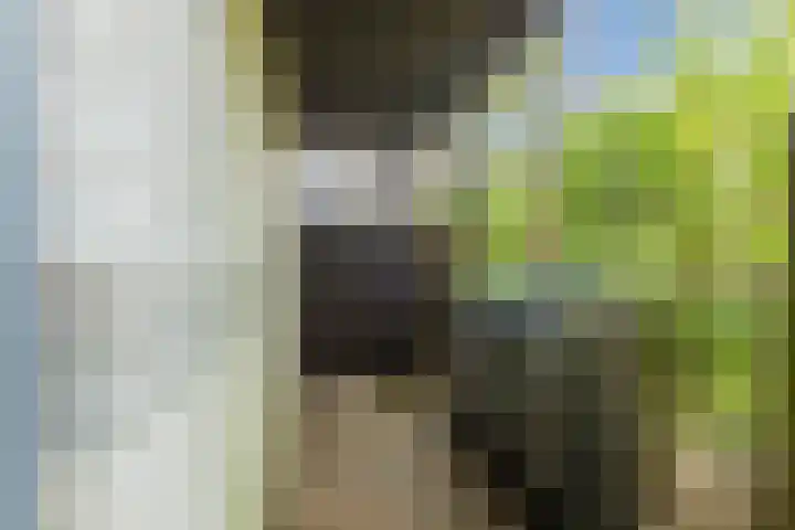 De Wieken 41 Uden thumbnail 41