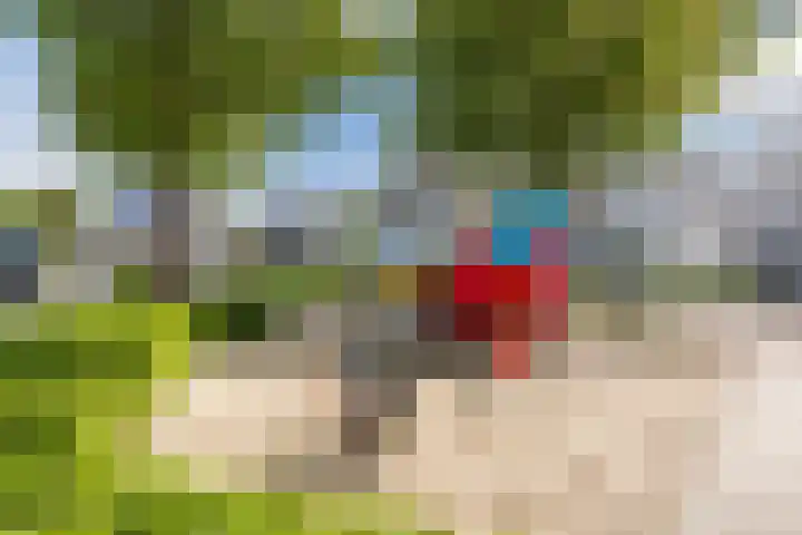 De Wieken 41 Uden thumbnail 42