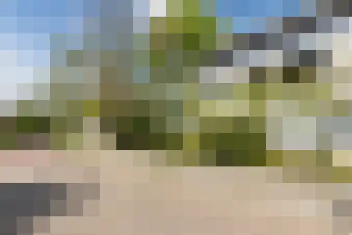 De Wieken 41 Uden thumbnail 43