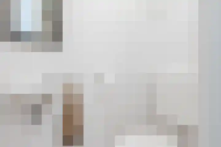 De Wieken 41 Uden thumbnail 6