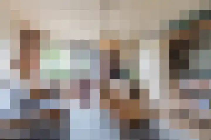 De Wieken 41 Uden thumbnail 8