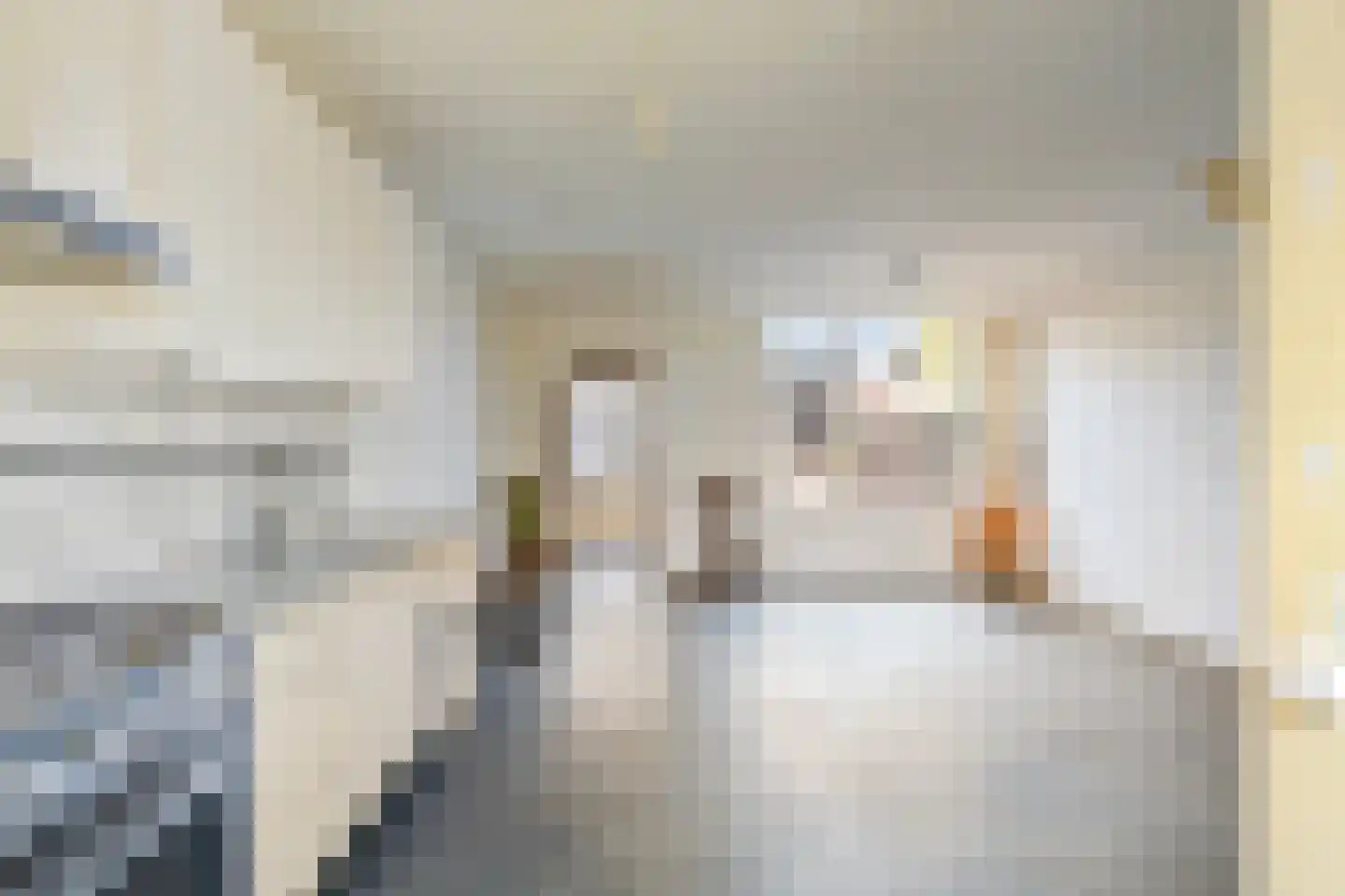 De Wieken 48 Beek en Donk thumbnail 15