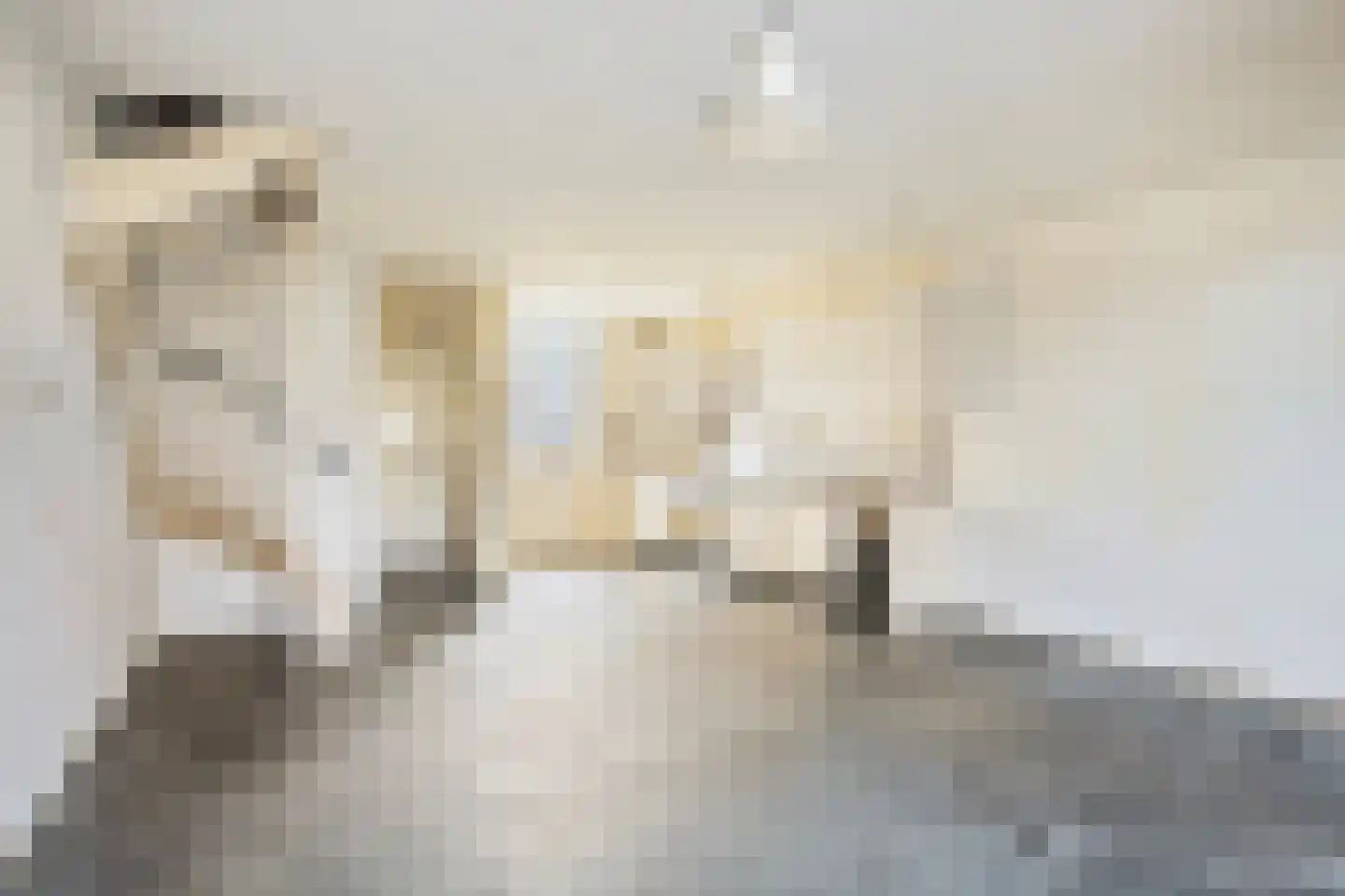 De Wieken 48 Beek en Donk foto 3