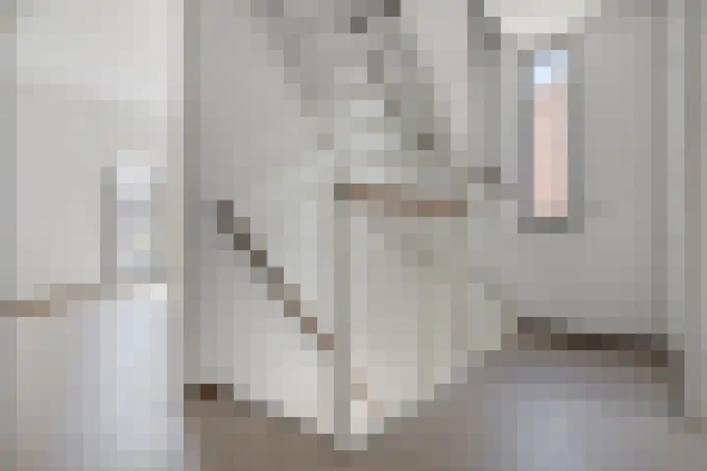 De Wieken 48 Budel thumbnail 10