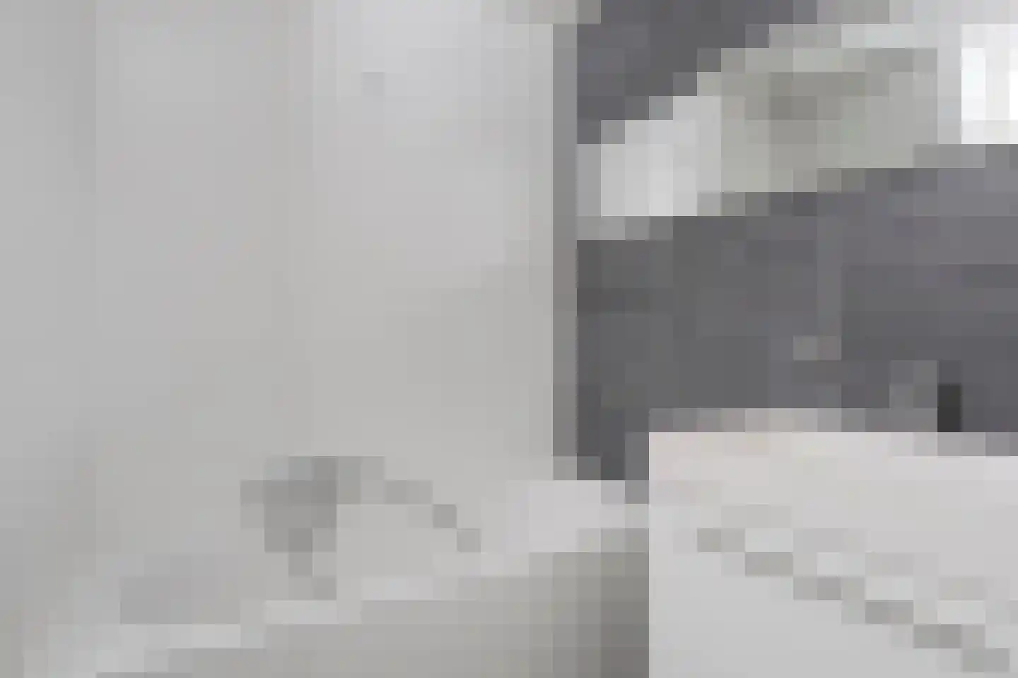 De Wieken 48 Budel thumbnail 15