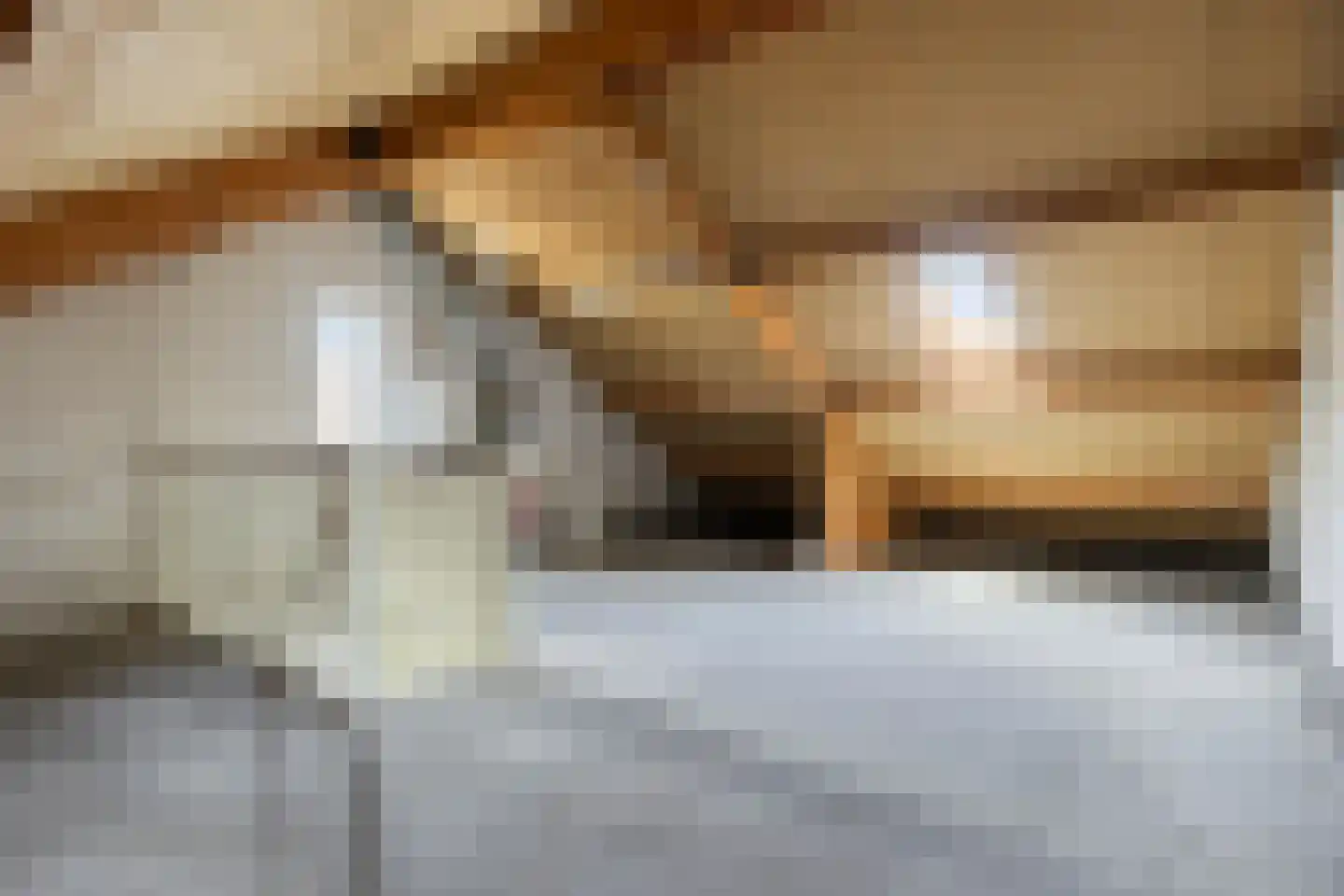 De Wieken 48 Budel thumbnail 17