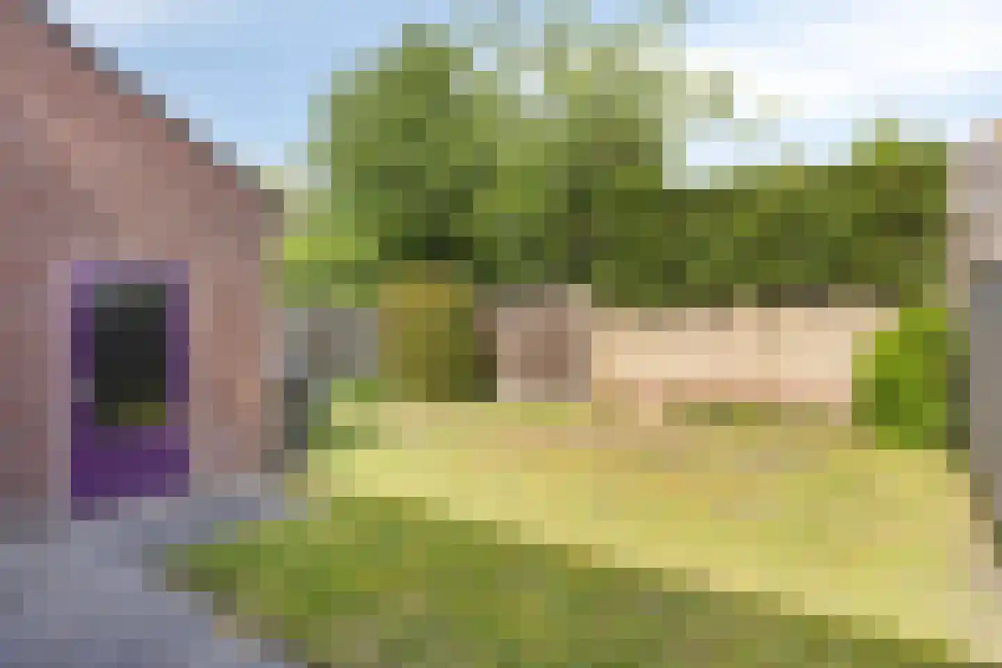 De Wieken 48 Budel thumbnail 24