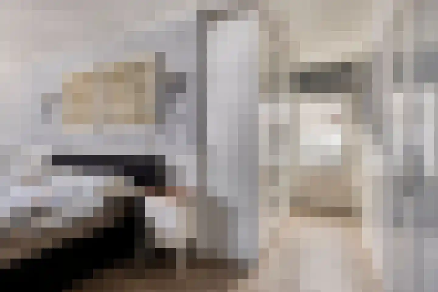 De Wieken 53 Uden thumbnail 21