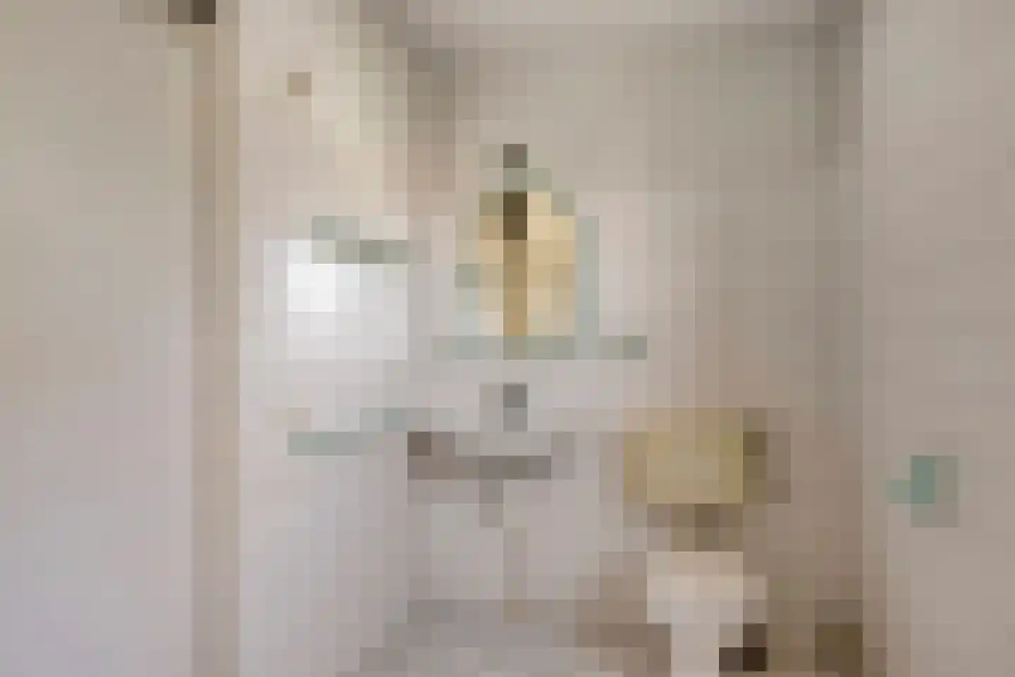 De Wieken 53 Uden thumbnail 29