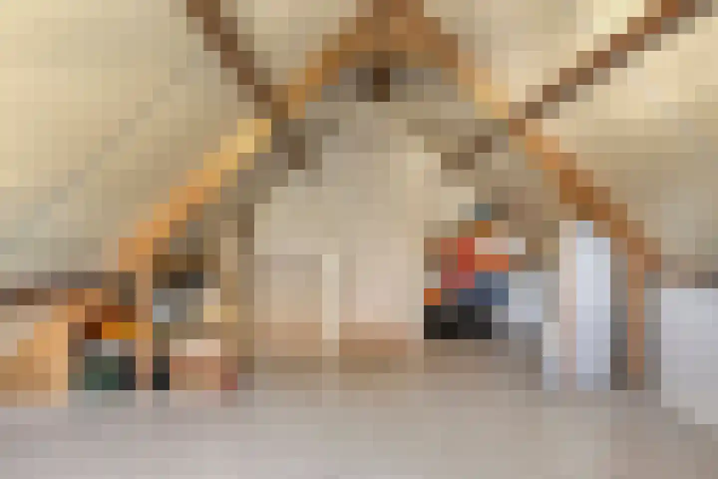 De Wieken 53 Uden thumbnail 34