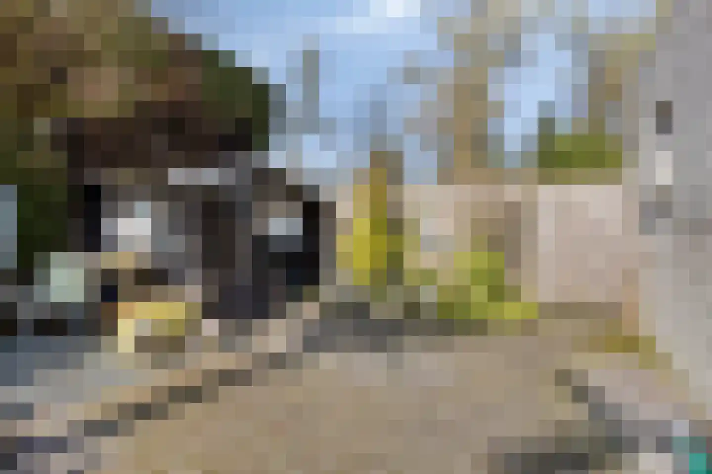 De Wieken 53 Uden thumbnail 37