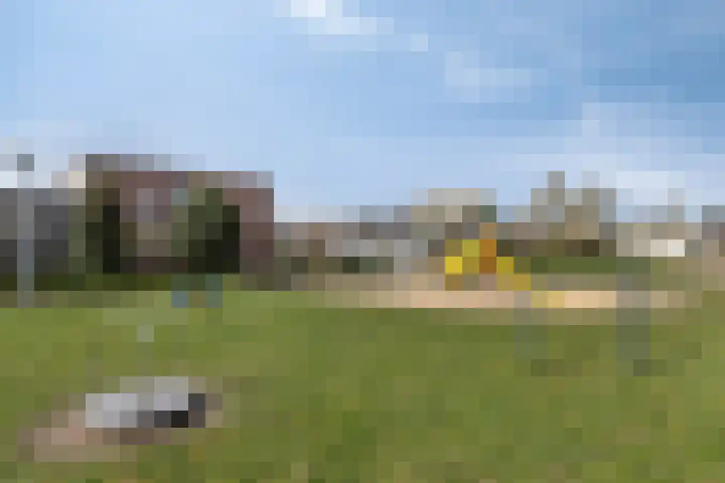 De Wieken 53 Uden thumbnail 44