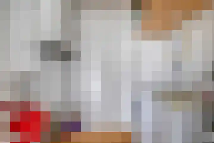 de Wieken 55 Helmond thumbnail 30